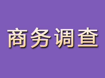 清水河商务调查