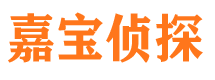 清水河市私家侦探